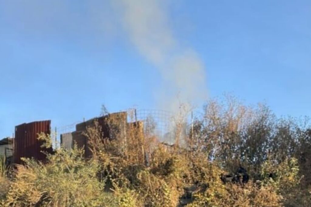 Picsart 22 11 19 10 36 39 064 1