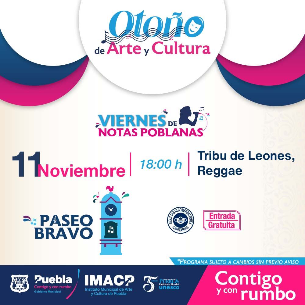 WhatsApp Image 2022 11 11 at 3.26.08 PM 3