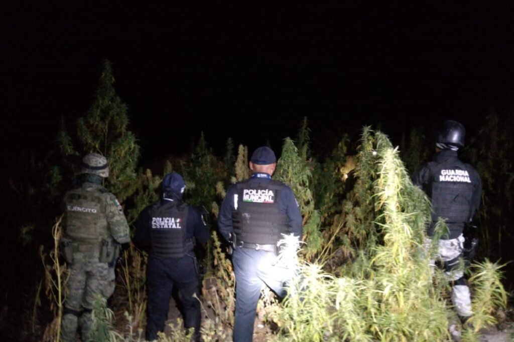 WhatsApp Image 2022 11 28 at 8.06.15 AM