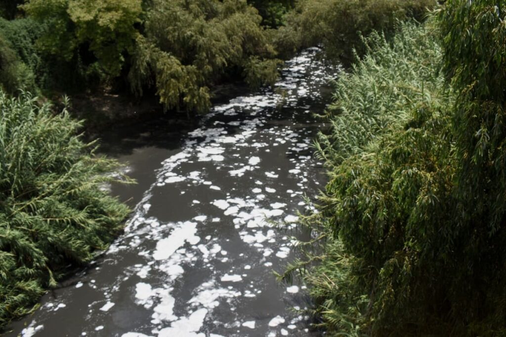 contaminacion rio atoyac