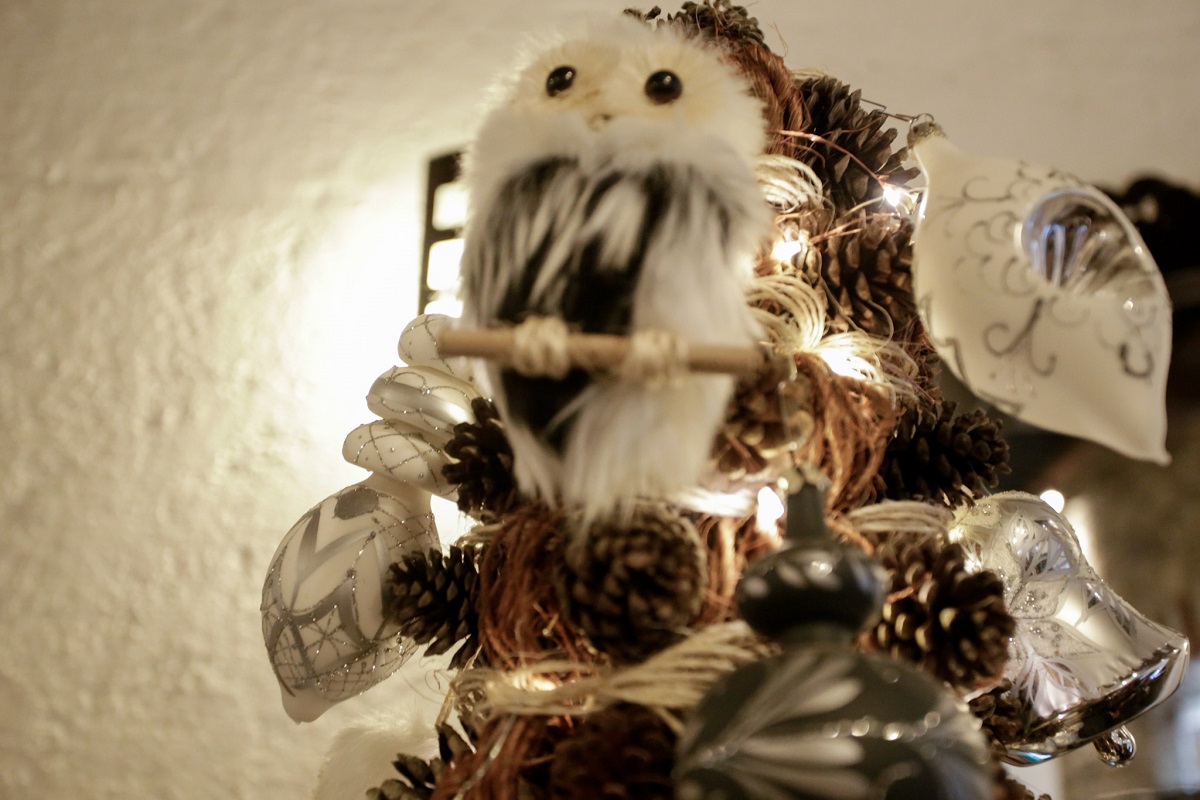 feria del arbol y la esfera 3