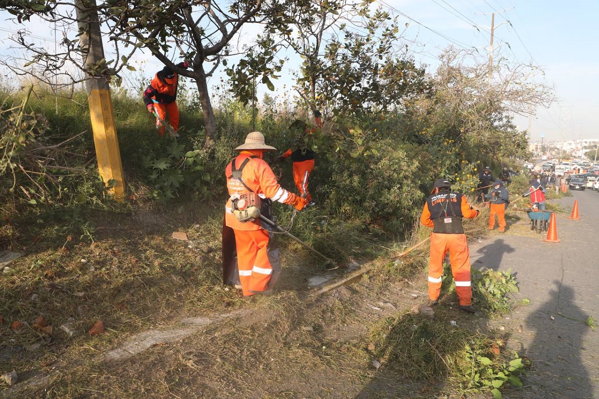 Ayuntamiento de Puebla llega a la avenida casuarinas con una jornada de limpieza integral 2 limpieza integral