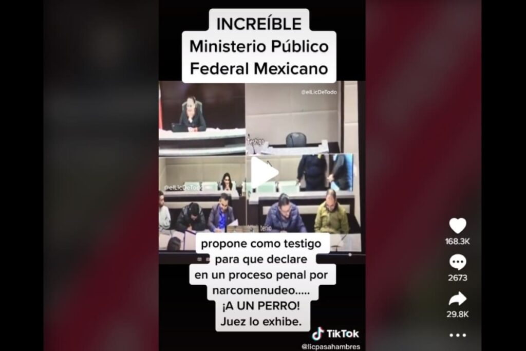 llaman a perro a declarar 1
