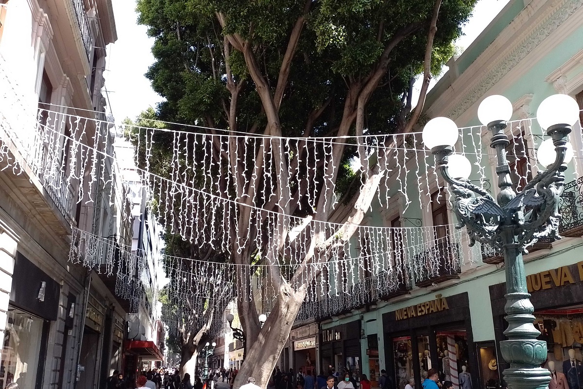 luminarias navidenas 2 1