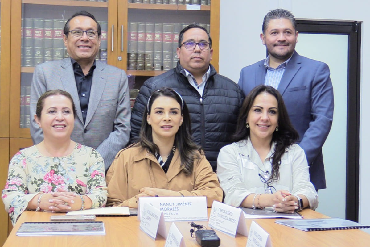 Presenta Comisión de Organizaciones No Gubernamentales Informe Anual de Trabajo 2 organizaciones no gubernamentales 1