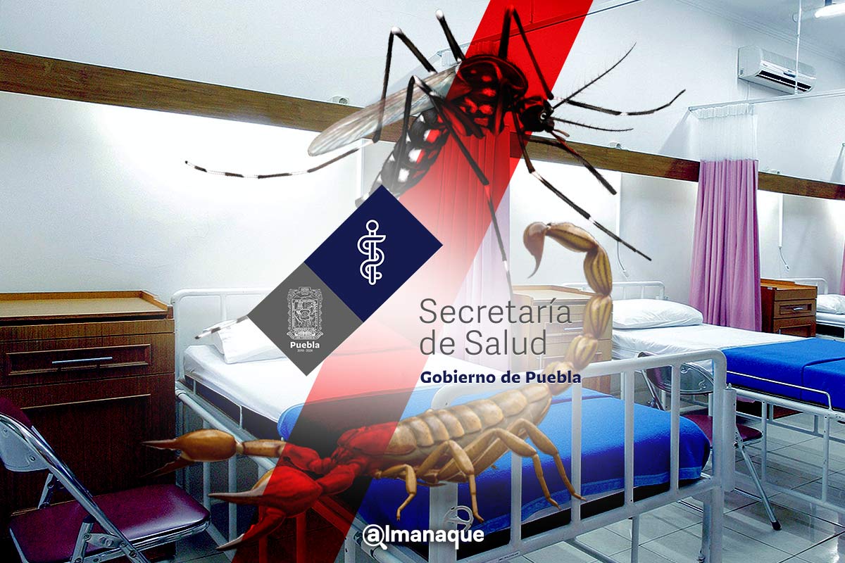 Estas son las recomendaciones de Salud para evitar dengue y picaduras de alacrán en Puebla 3 portada prevenir el dengue y picadura de alacran