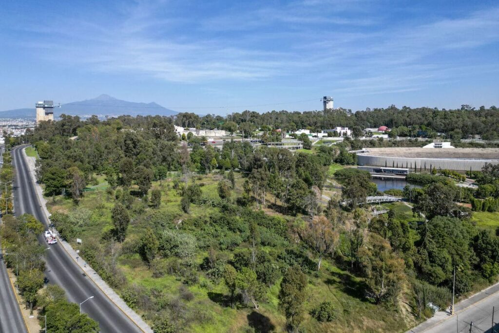 nuevo congreso del estado