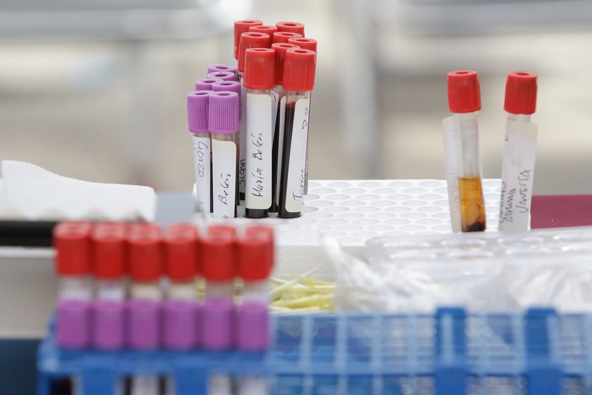 Investigadores realizan transfusiones con sangre artificial en Reino Unido 10 sangre artificial