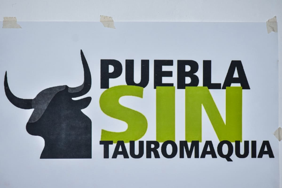 Juez suspende corrida de toros en San Martín Texmelucan 2 suspenden corrida de toros en texmelucan 1 1