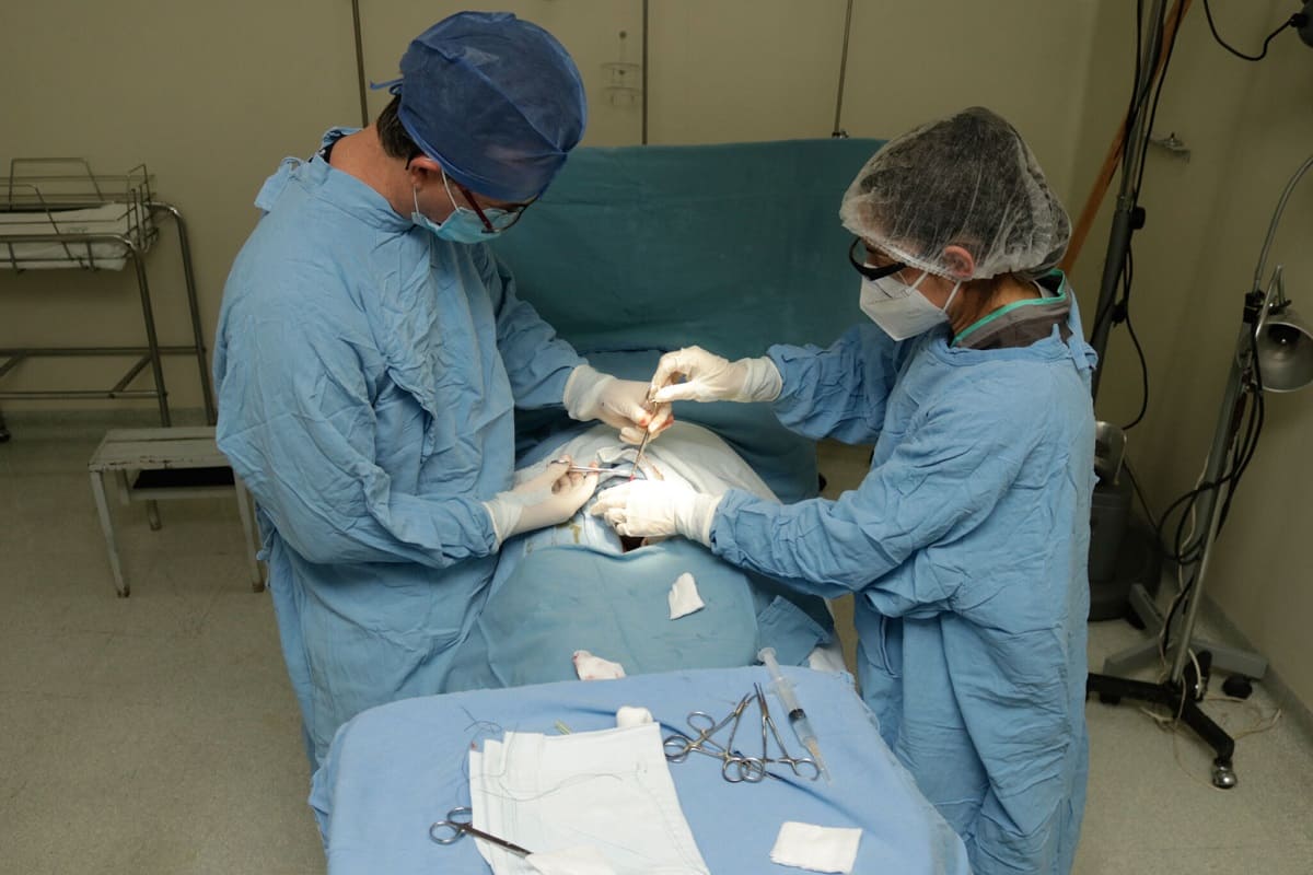 IMSS anuncia jornada de vasectomía sin bisturí en Puebla 5 vasectomia en puebla 1