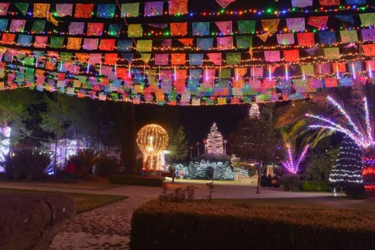 Picsart 22 12 17 14 28 06 113