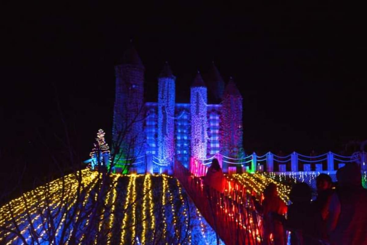 ¿Sin planes para las vacaciones? Conoce Noelandia, la villa iluminada de Volcanic Park 9 Picsart 22 12 17 14 29 02 734