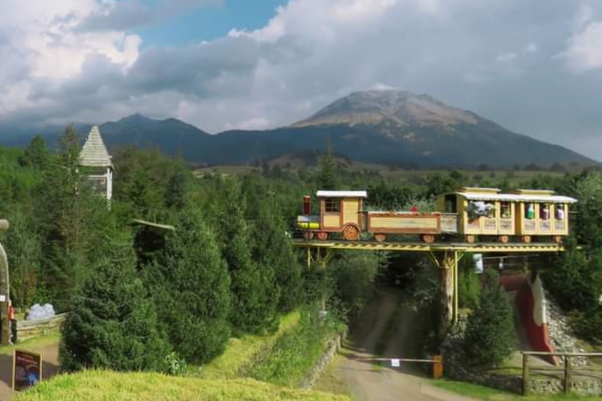 Picsart 22 12 17 14 29 45 455