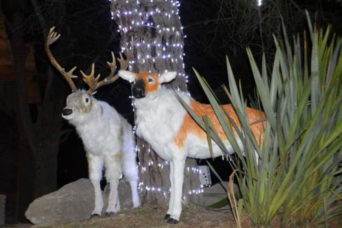 Picsart 22 12 17 14 31 04 992