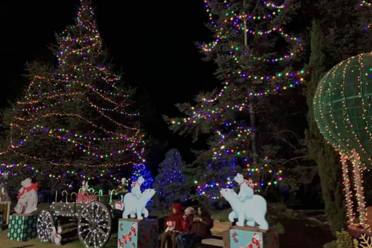 Picsart 22 12 17 14 31 37 496