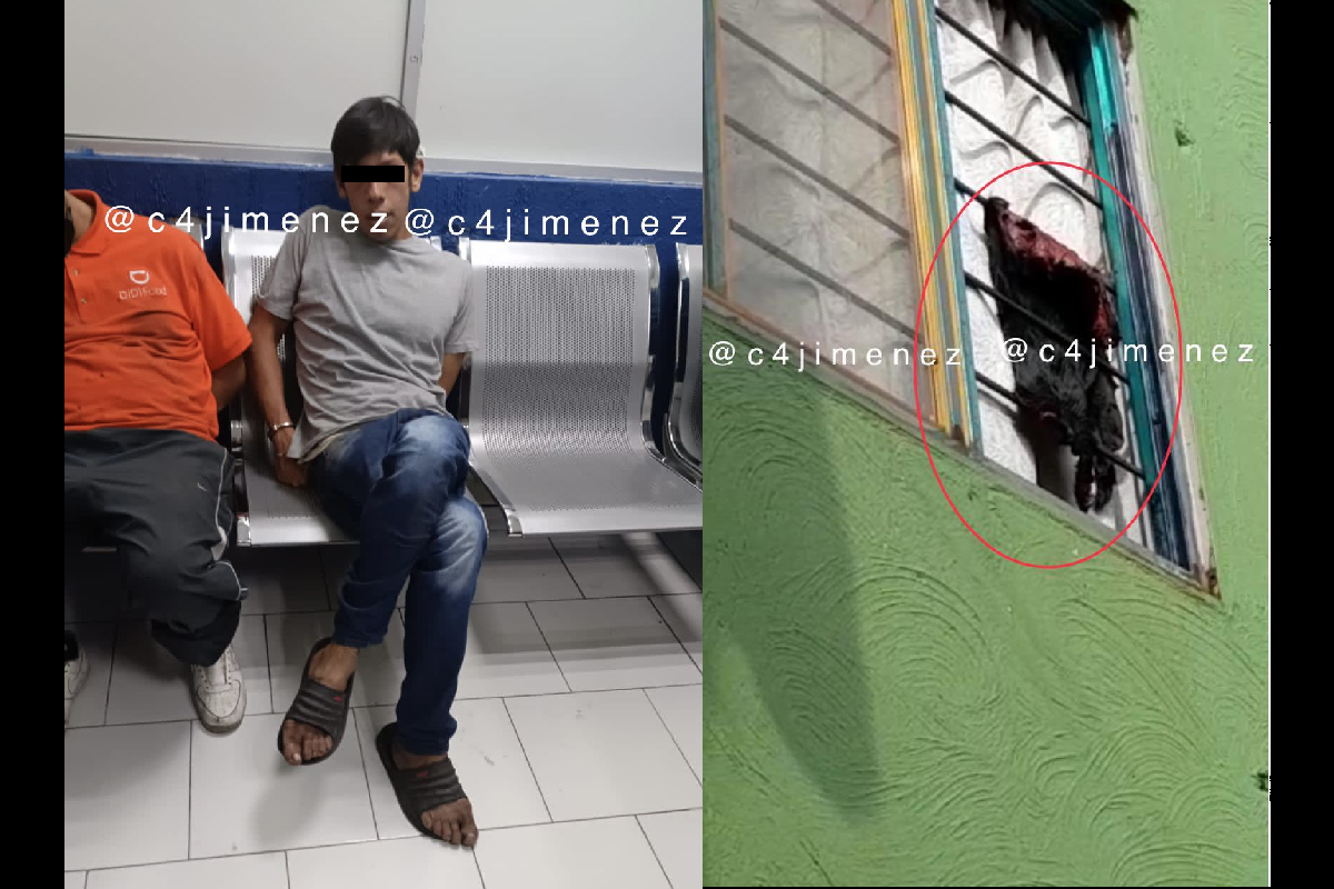 Detienen a Víctor, el sujeto que mataba, decapitaba y desollaba a perros y gatos en la CDMX 2 Victor