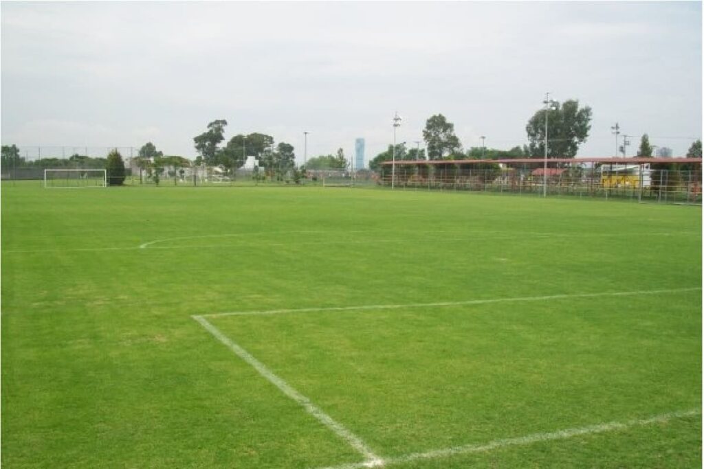 auditorio en las canchas de la noria puebla 1