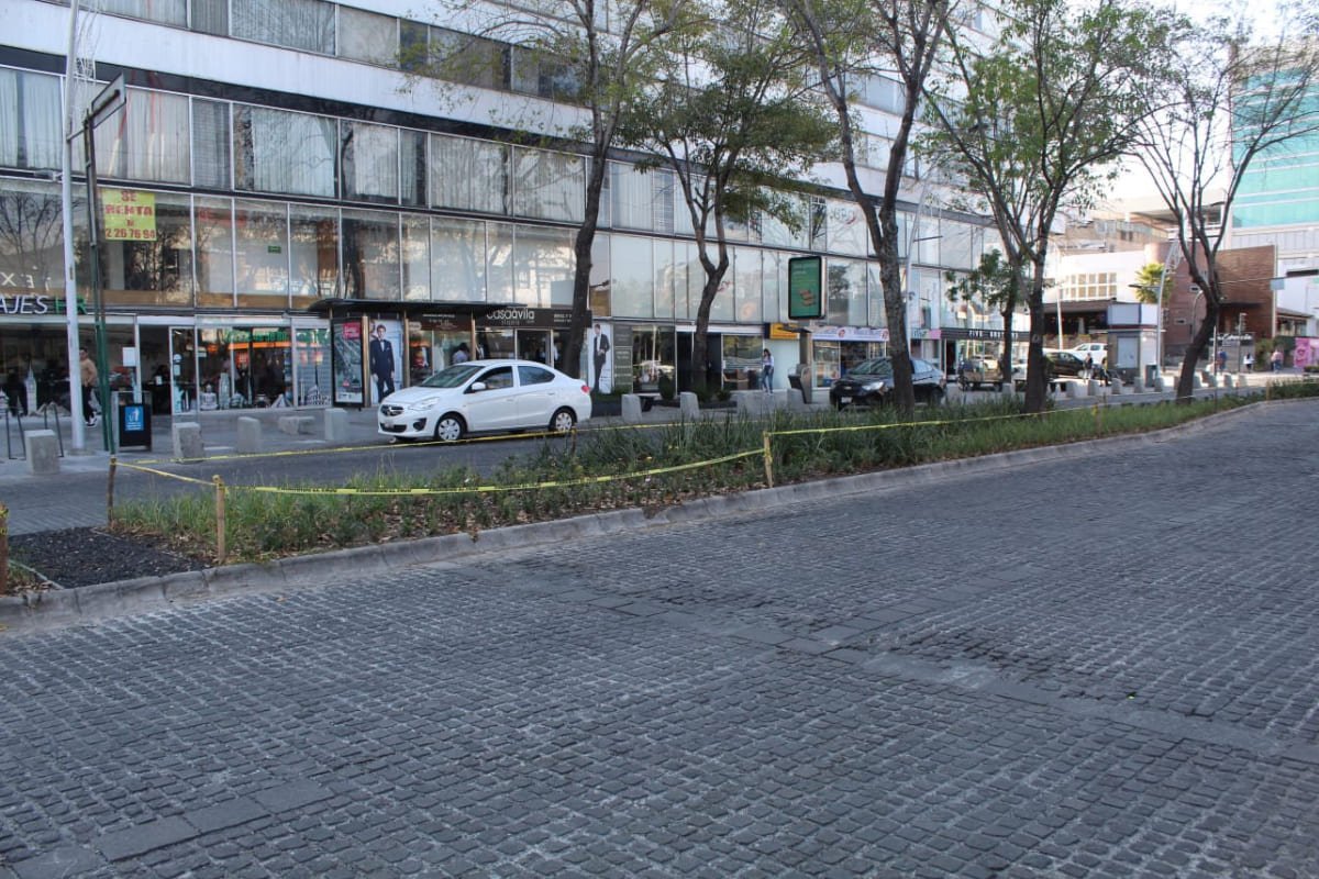 Camellones de la Avenida Juárez