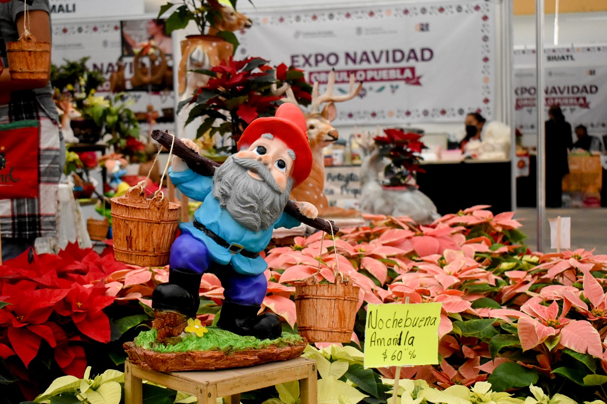 Miel, café, mezcal flores de nochebuena y más, encontrarás en la Expo Navidad Orgullo Puebla 5 expo navidad 1