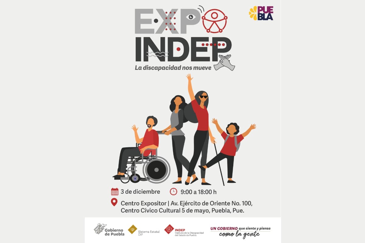 Instituto de la Discapacidad