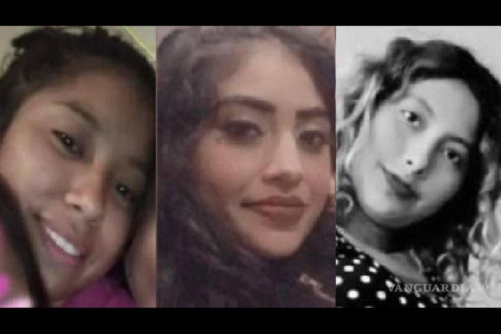 feminicidios embarazadas