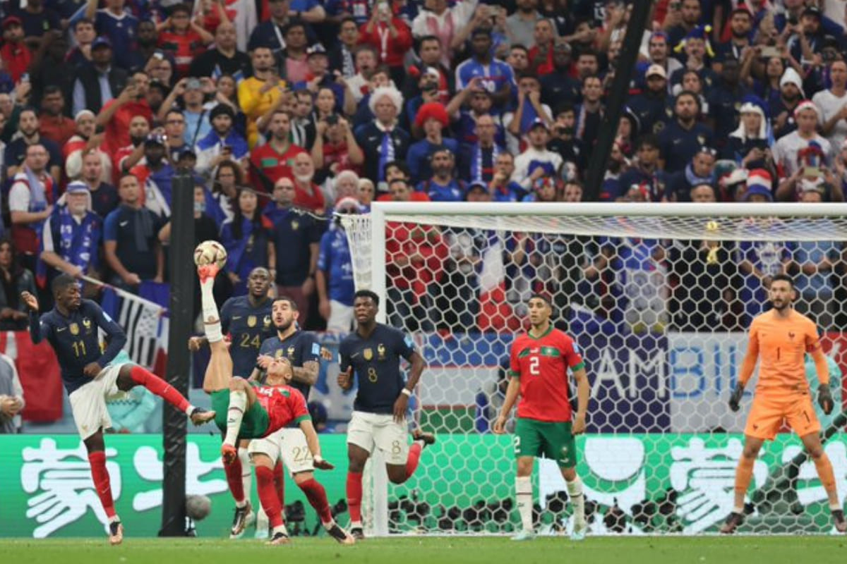 ¿Qué es el Virus del Camello?, enfermedad que afectó a Francia en Qatar 2 francia 1