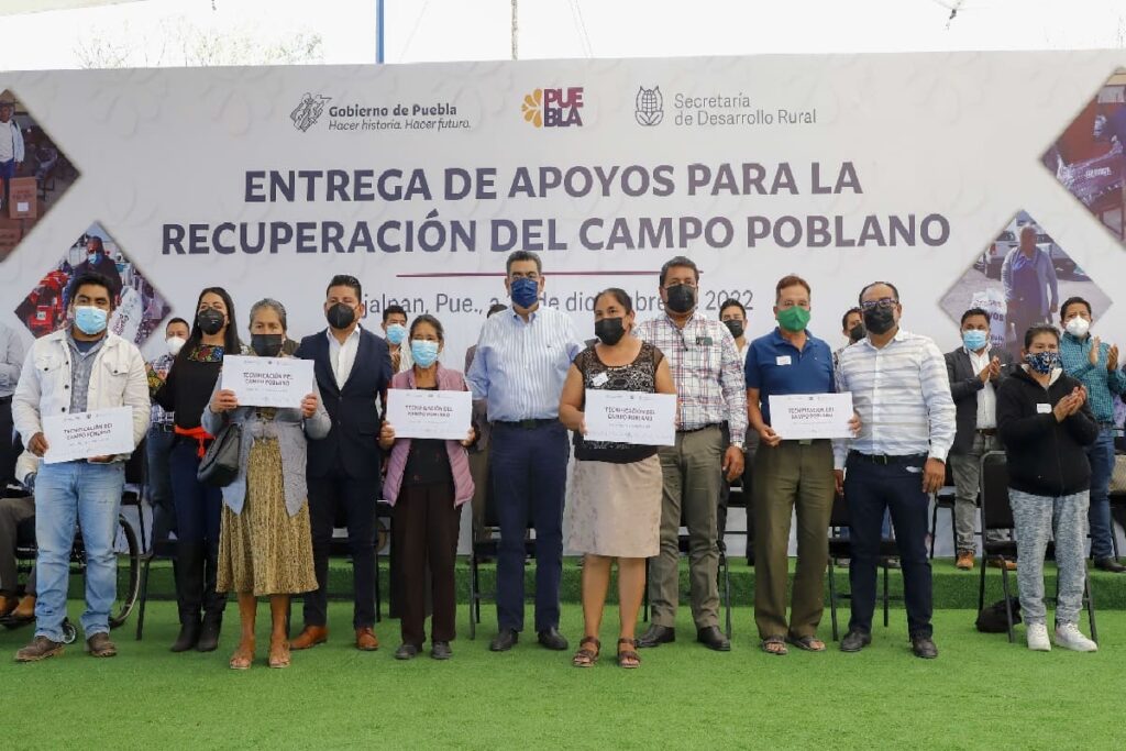 seguridad Cespedes Peregrina 2