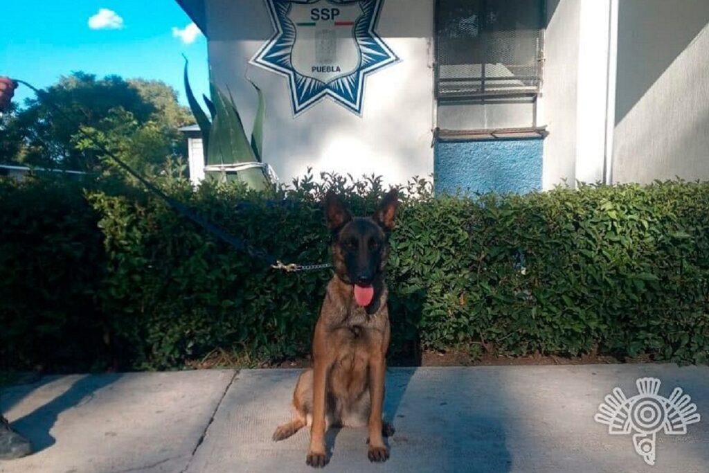 7a36693c d741 4f7c a2e0 1ac9c4064513