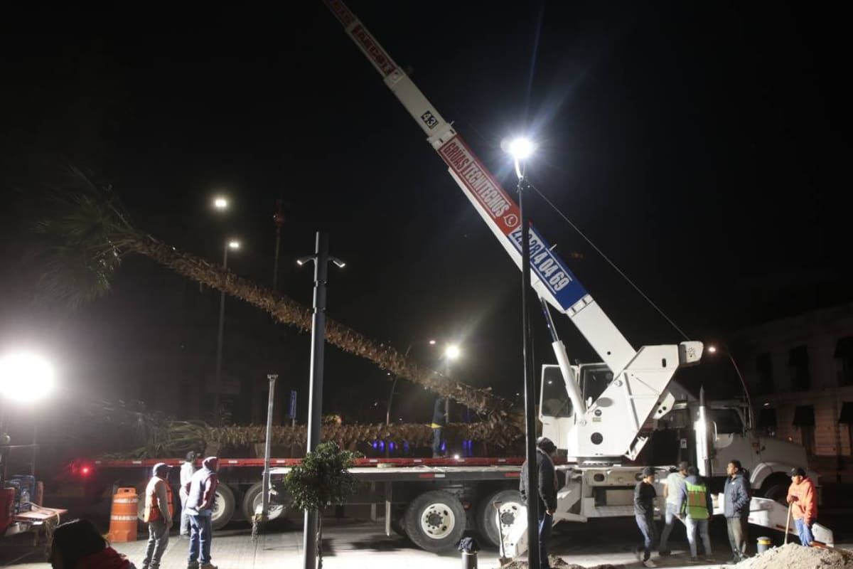 No plantarán árboles en centro de Puebla