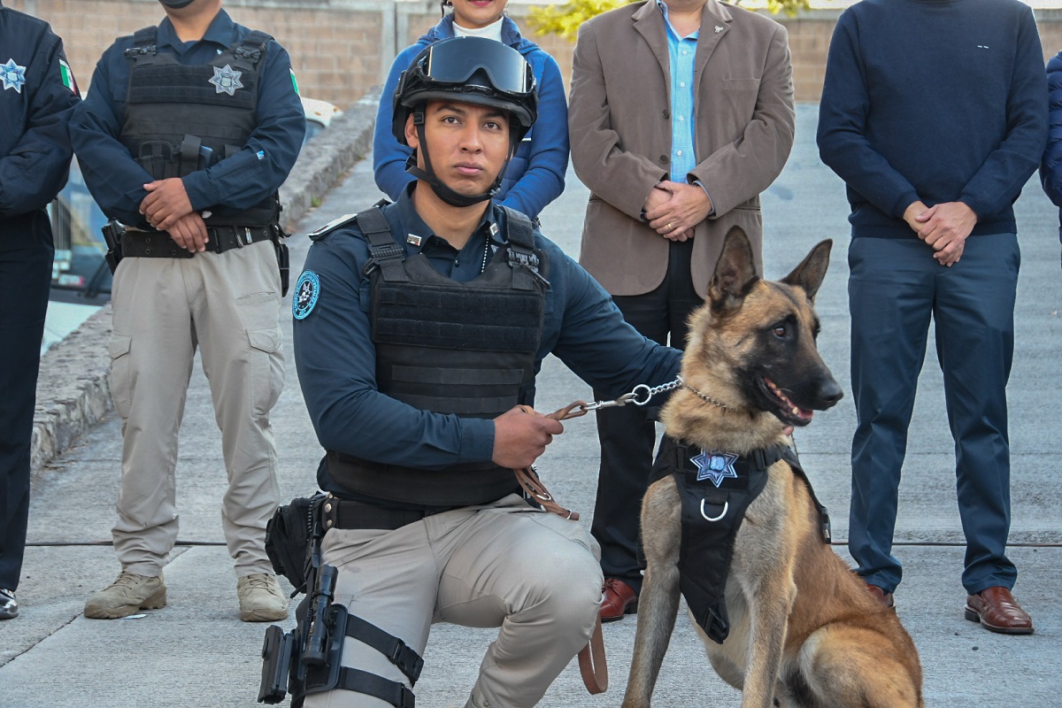 FOTOS: Conoce a los 10 perritos que se unen a la Unidad Canina de la SSC de Puebla 12 binomios caninos ssc 3