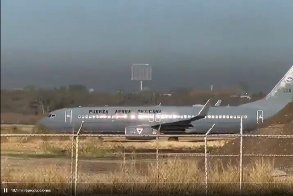 palmeras avenida juarez 1