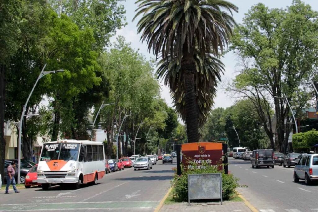 palmeras avenida juarez