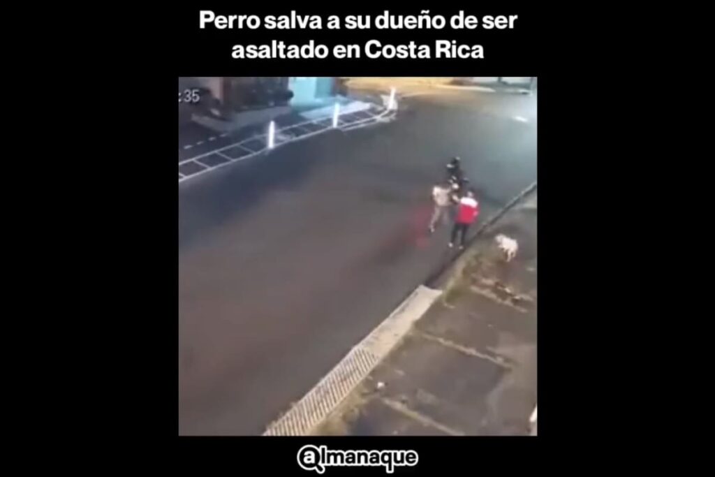 Perro frustra asalto en Costa Rica