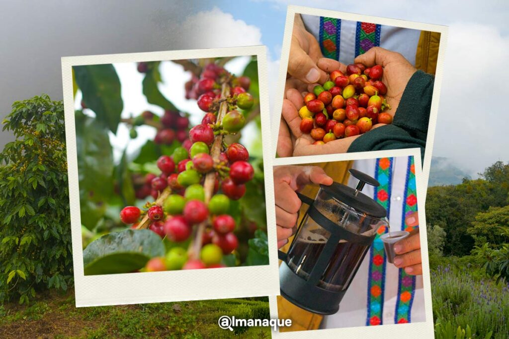 Conoce Rancho El Paredon un centro ecoturistico en Naupan y de la Bioruta del cafe