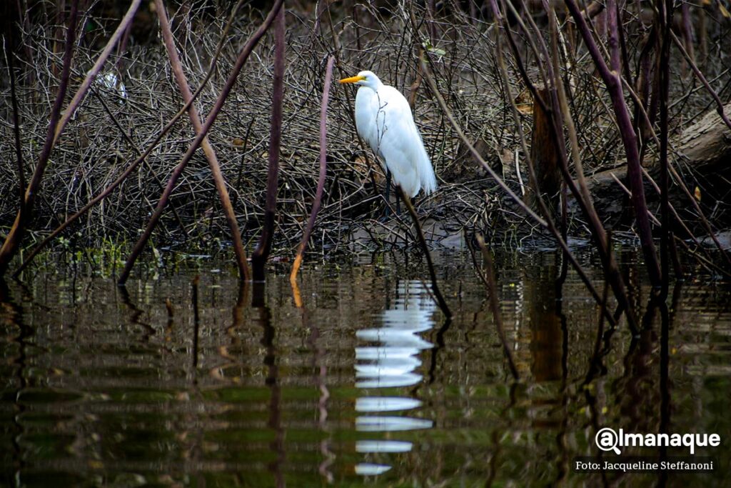 Presa de Necaxa tour viaje en lancha Puebla 13