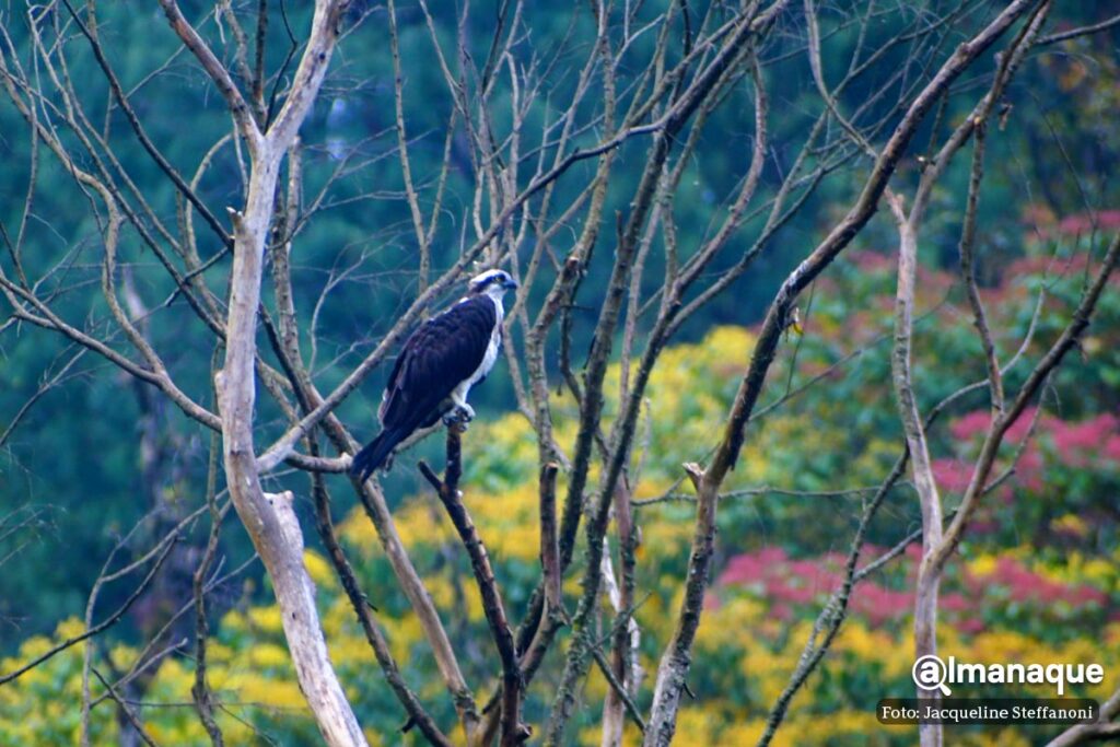 Presa de Necaxa tour viaje en lancha Puebla 14