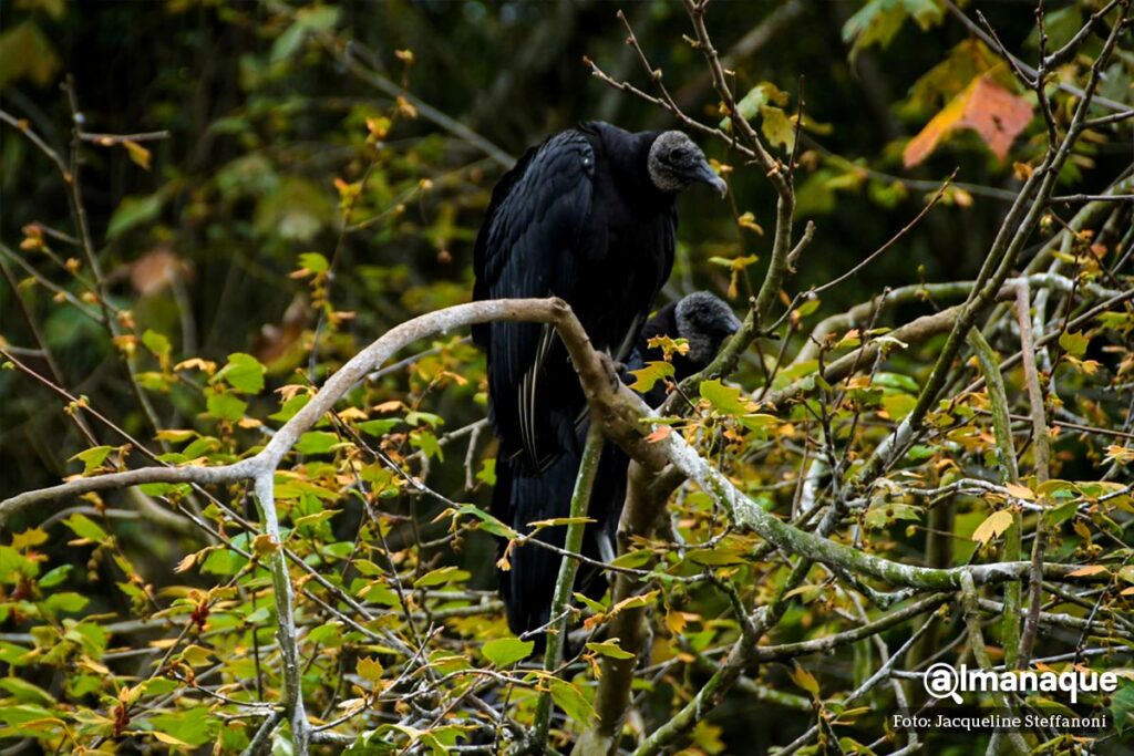Presa de Necaxa tour viaje en lancha Puebla 22