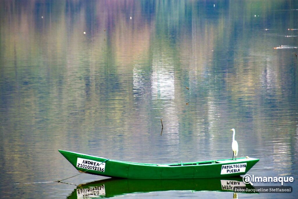 Presa de Necaxa tour viaje en lancha Puebla 3