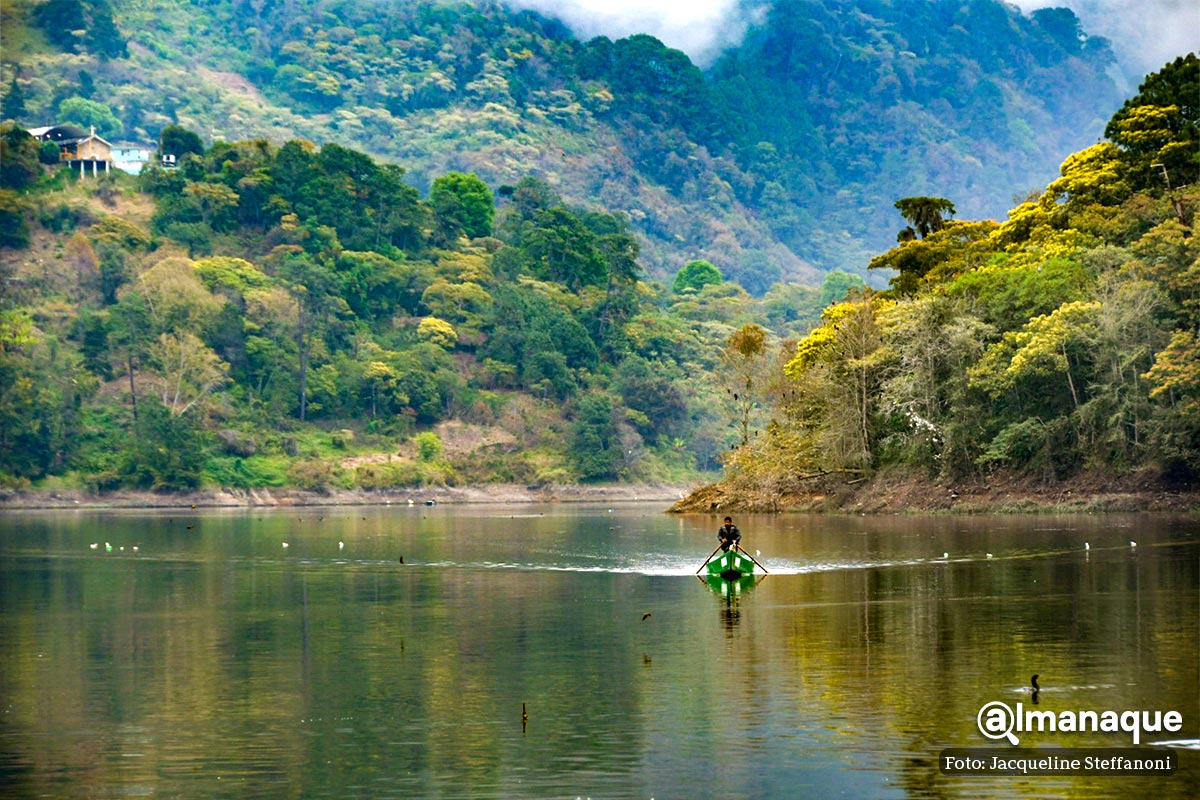 Presa de Necaxa: El viaje en lancha para el avistamiento de aves migratorias que debes conocer 1 Presa de Necaxa tour viaje en lancha Puebla 4
