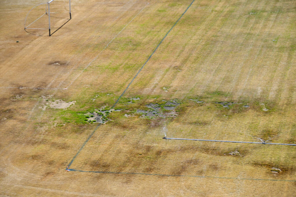 Remodelacion Estadio Zaragoza 5