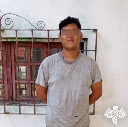 En flagrancia, Policía Estatal detiene a cinco presuntos talamontes en Pantepec 7 c33940c6 2f33 4357 8ea5 dbad2ff987dd