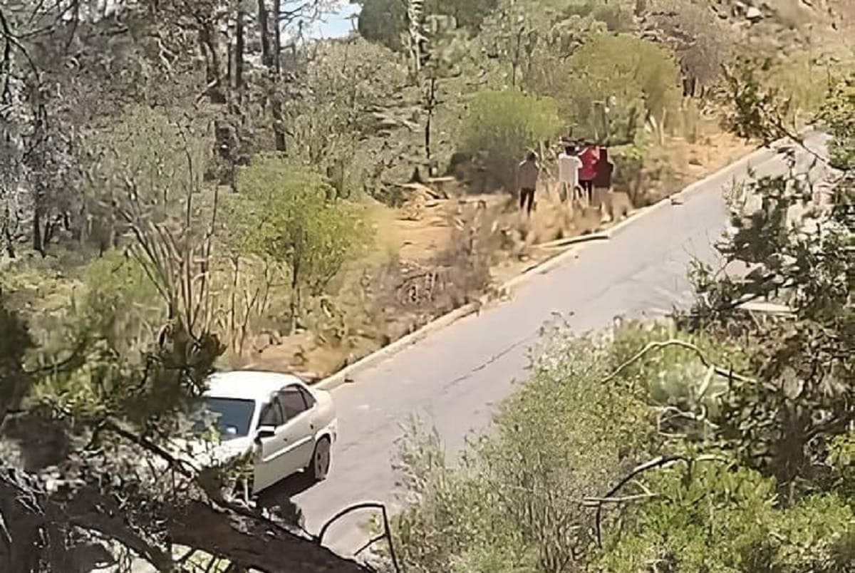 cadaveres libres Puebla