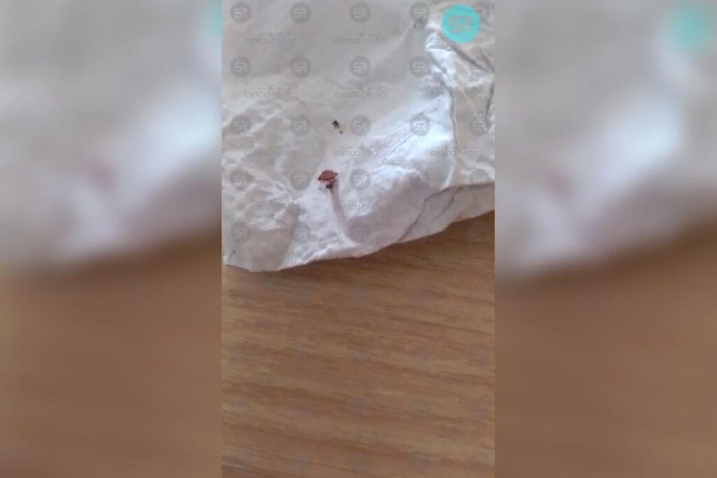 chinches IMSS la Margarita