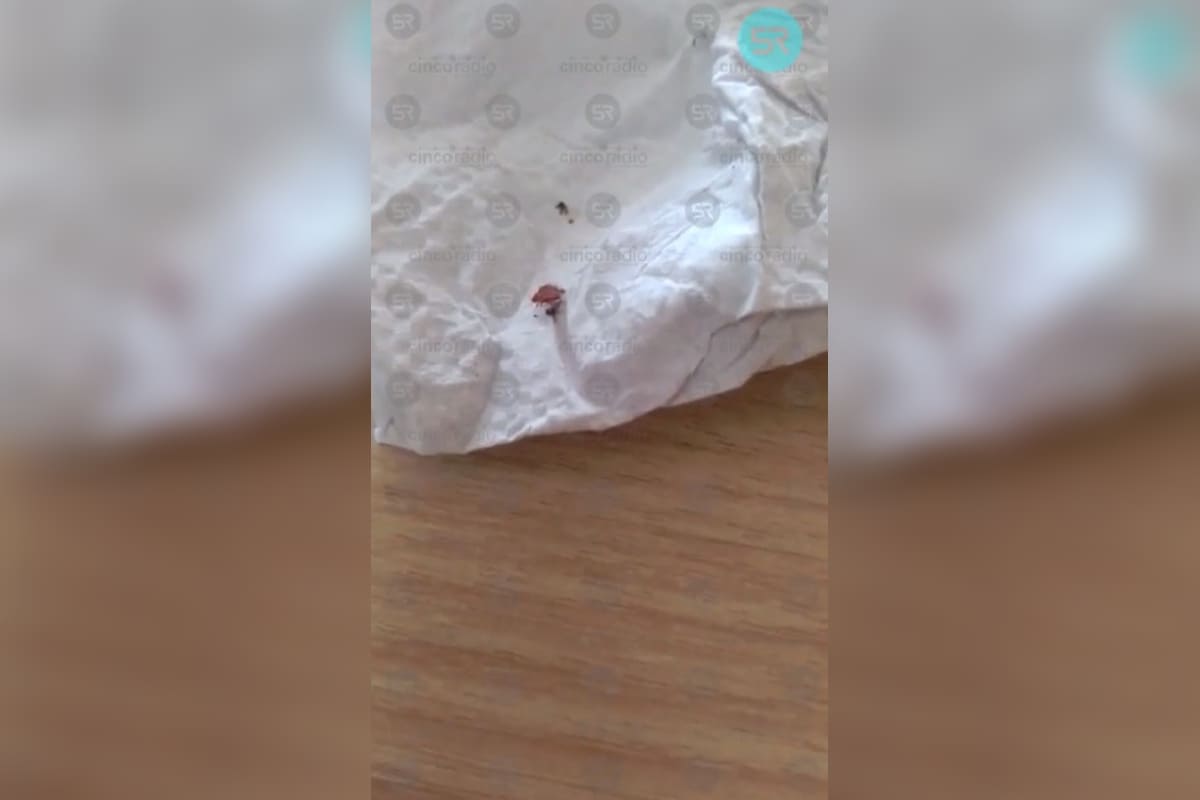 chinches IMSS la Margarita