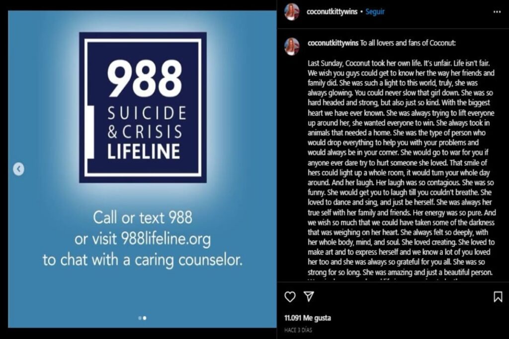 Suicidio modelo de Onlyfans