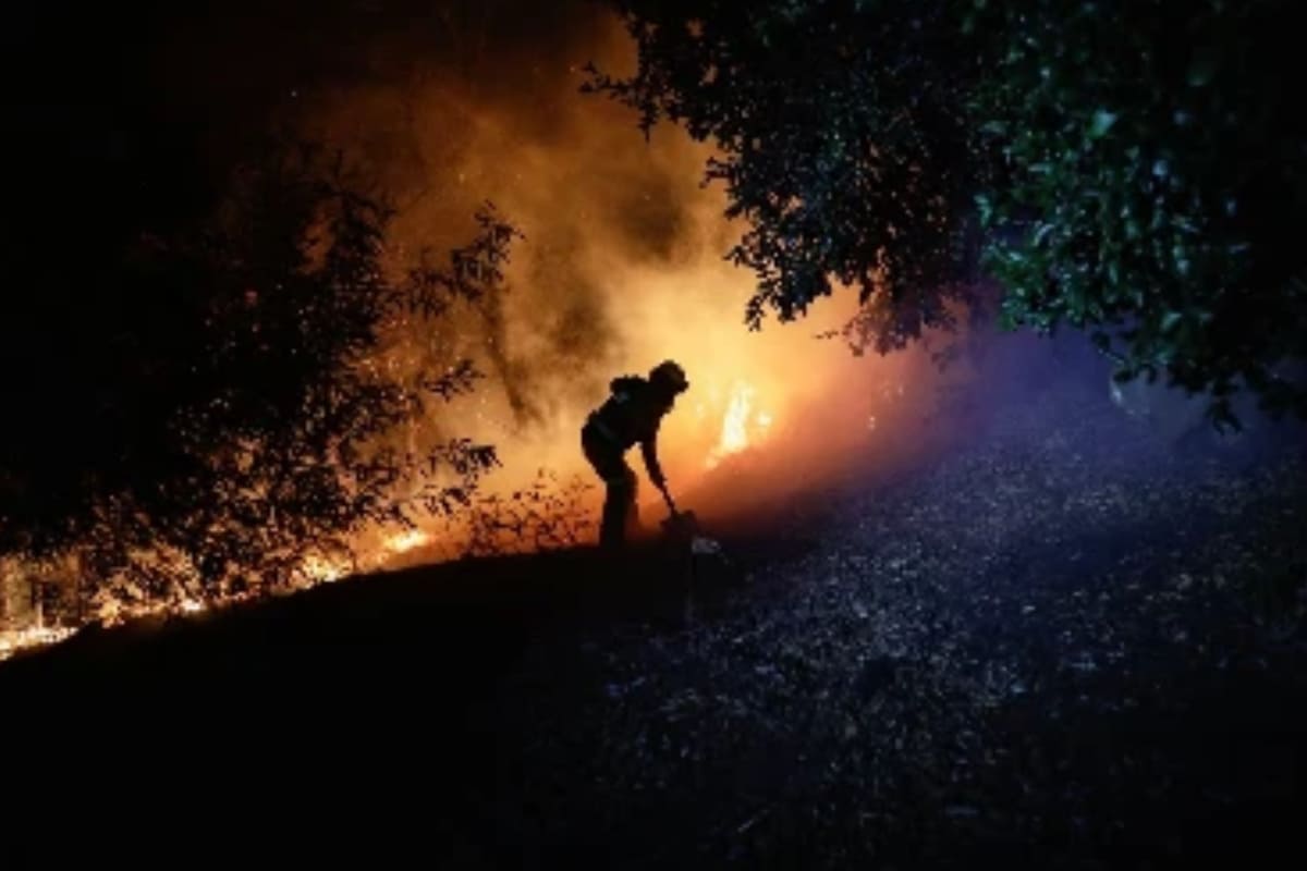 Incendios forestales en Chile