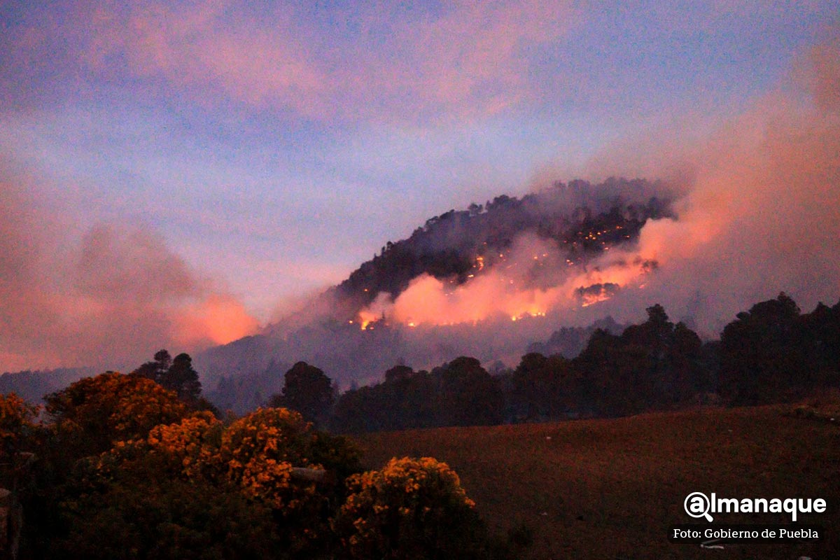 Incendio consume 200 hectáreas del área natural protegida Pico de Orizaba; Sergio Salomón recorre la zona 4 incendios en el Pico de Orizaba Gobernador Salomon 1
