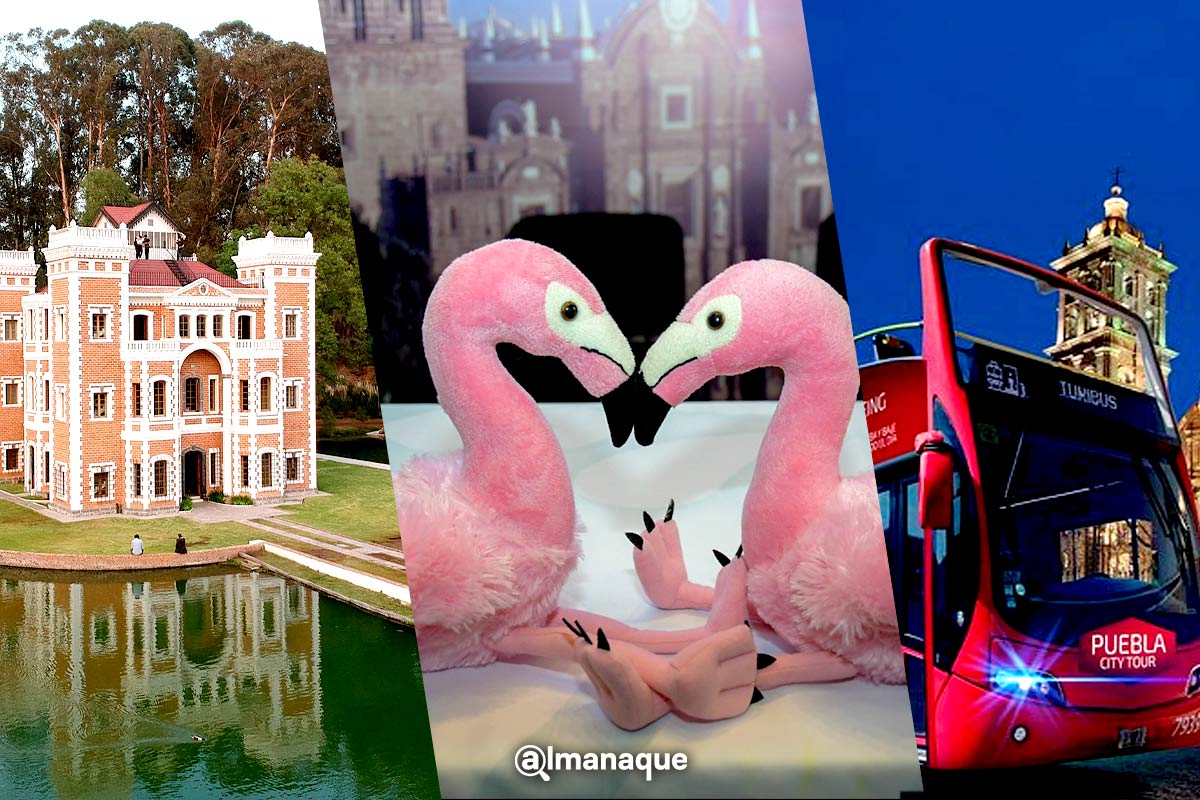 Turismo romántico en Puebla: comidas en Africam Safari, haciendas y recorridos en turibus 7 portada actividades 14 de febrero