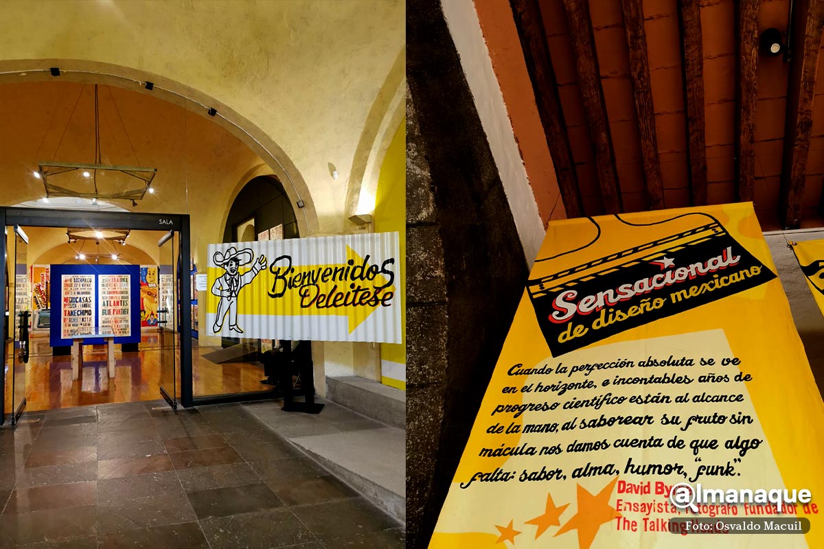 sensacional de dsieno mexicano 3