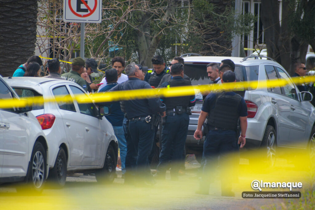 335494162 1233888833891249 6510790989184396021 n